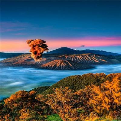 武龙争道游戏下载